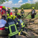 BFKDO Baden: Mann unter Baum eingeklemmt