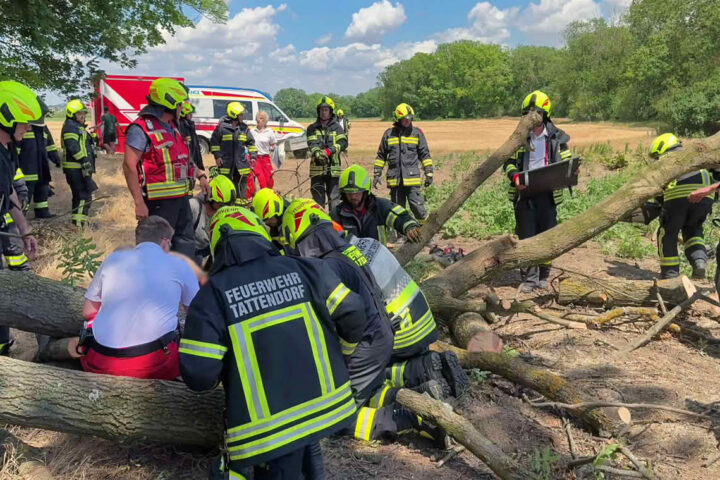 BFKDO Baden: Mann unter Baum eingeklemmt
