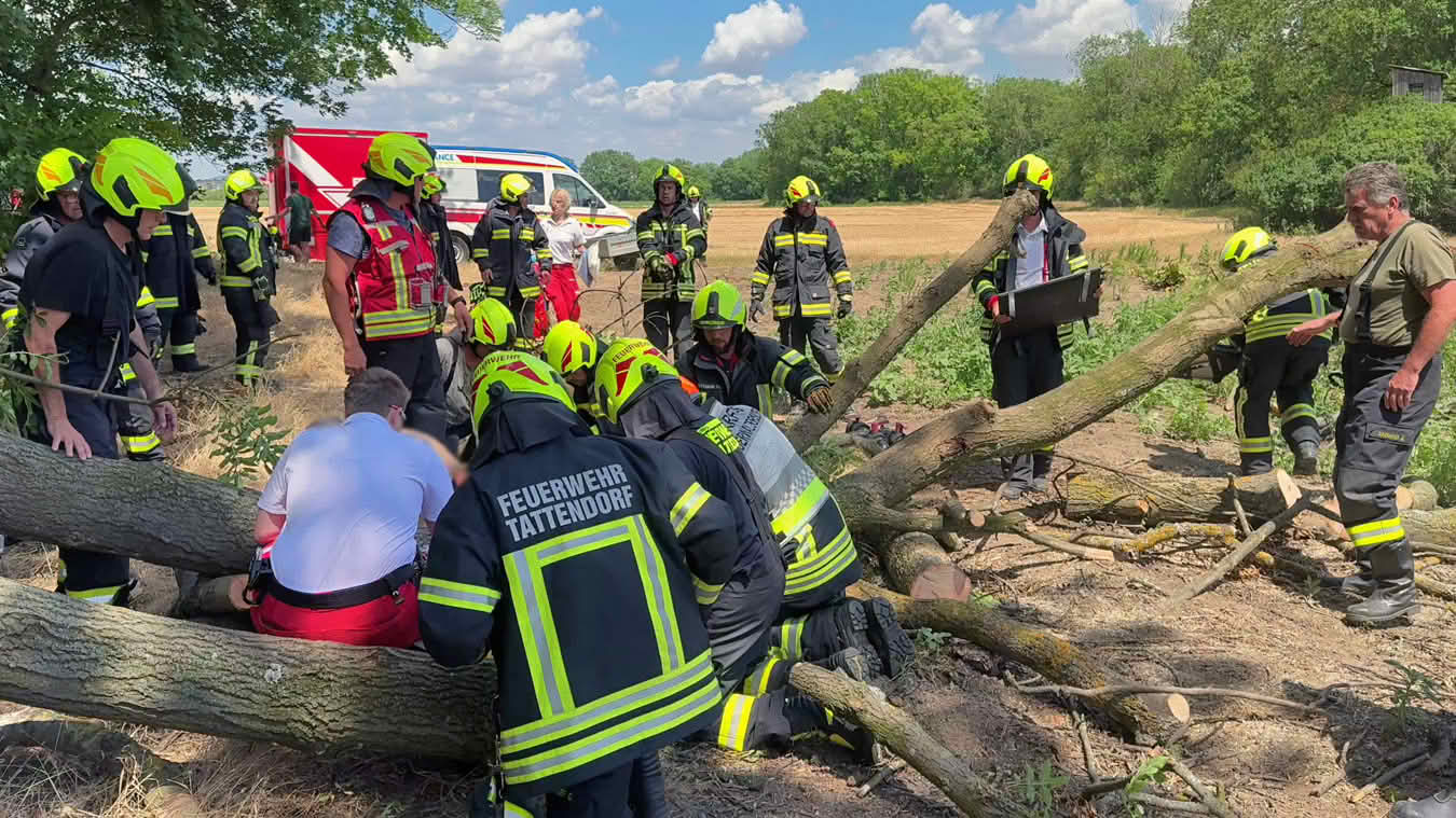 Mann unter Baum eingeklemmt
