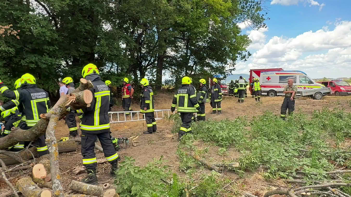 Mann unter Baum eingeklemmt