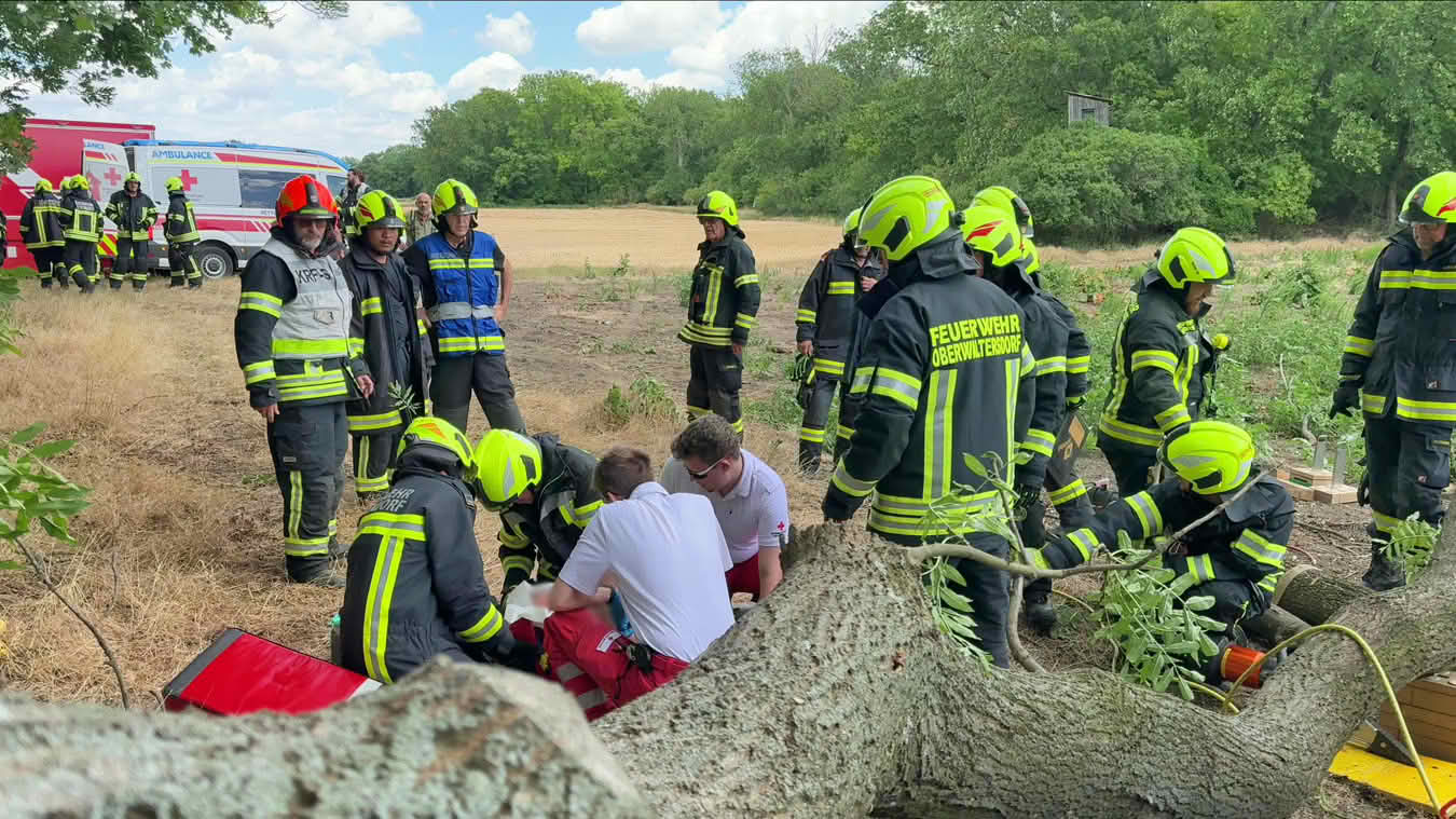 Mann unter Baum eingeklemmt