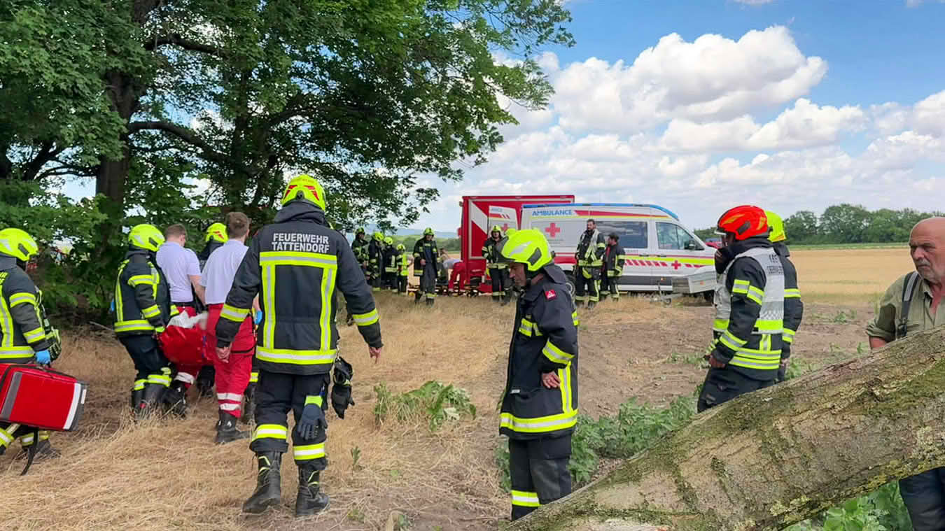 Mann unter Baum eingeklemmt
