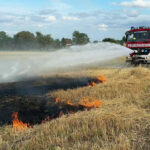 BFKDO Baden: Verdacht auf Brandstiftung bei Vegetationsbrand