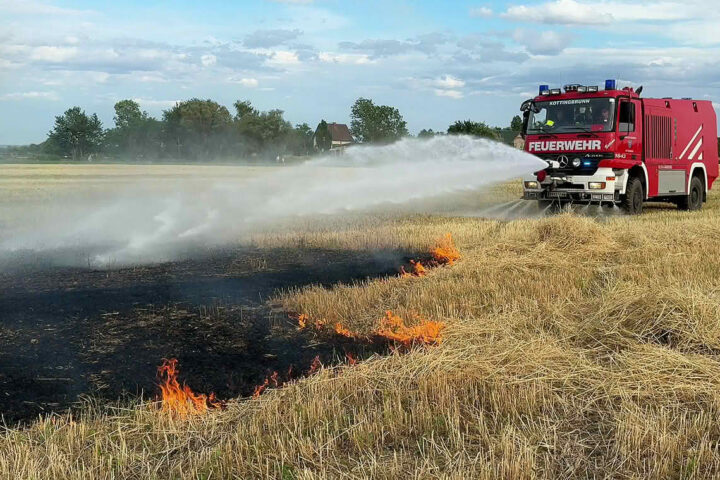BFKDO Baden: Verdacht auf Brandstiftung bei Vegetationsbrand
