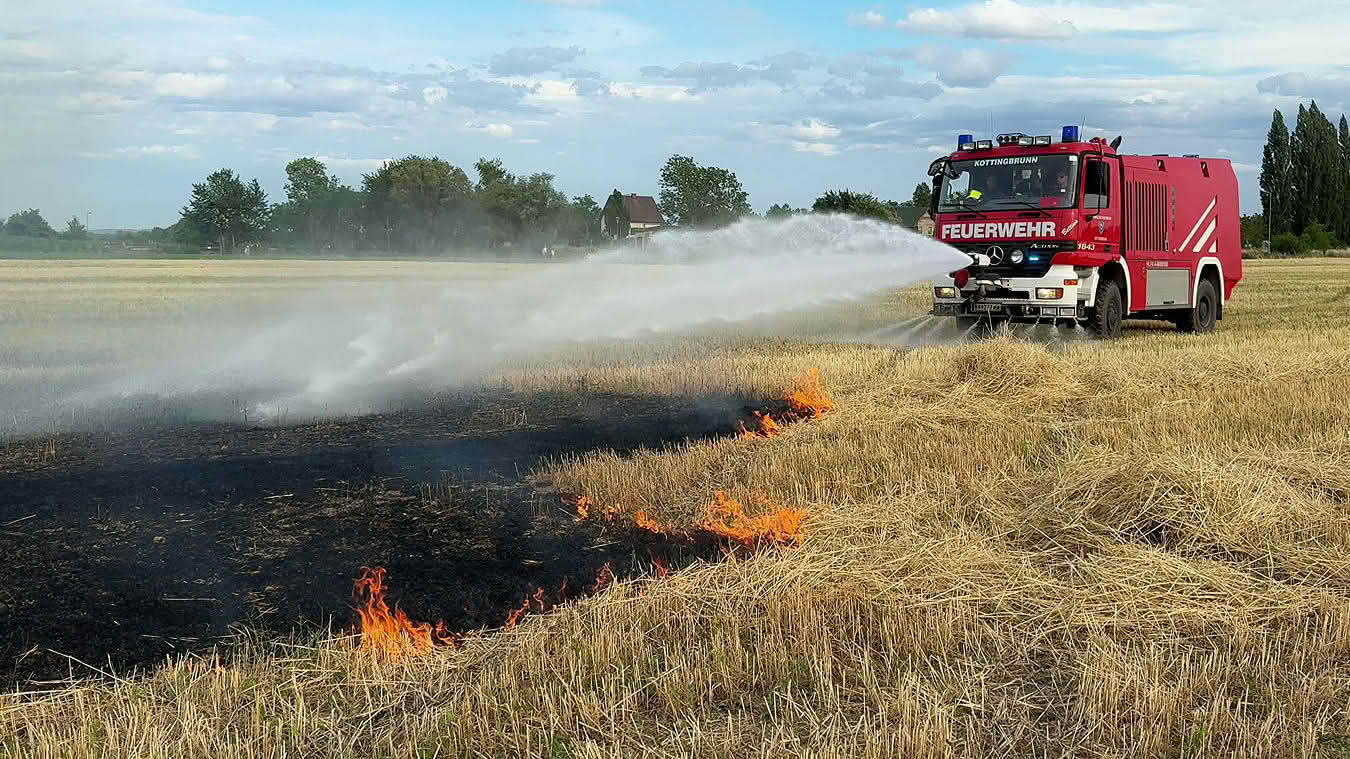 BFKDO Baden: Verdacht auf Brandstiftung bei Vegetationsbrand