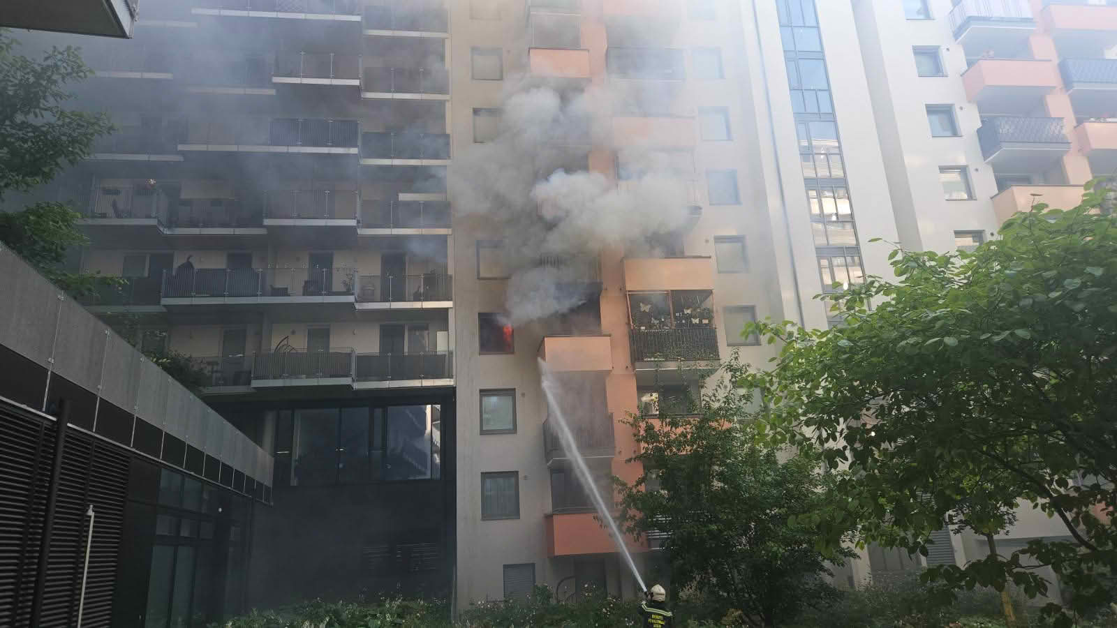 BF Wien: Zimmerbrand in Hochhaus BF Wien: Zimmerbrand in Hochhaus