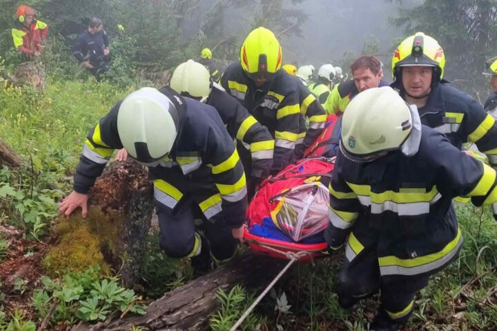 BFV Liezen: Forstunfall in schwer zugänglichen Gelände
