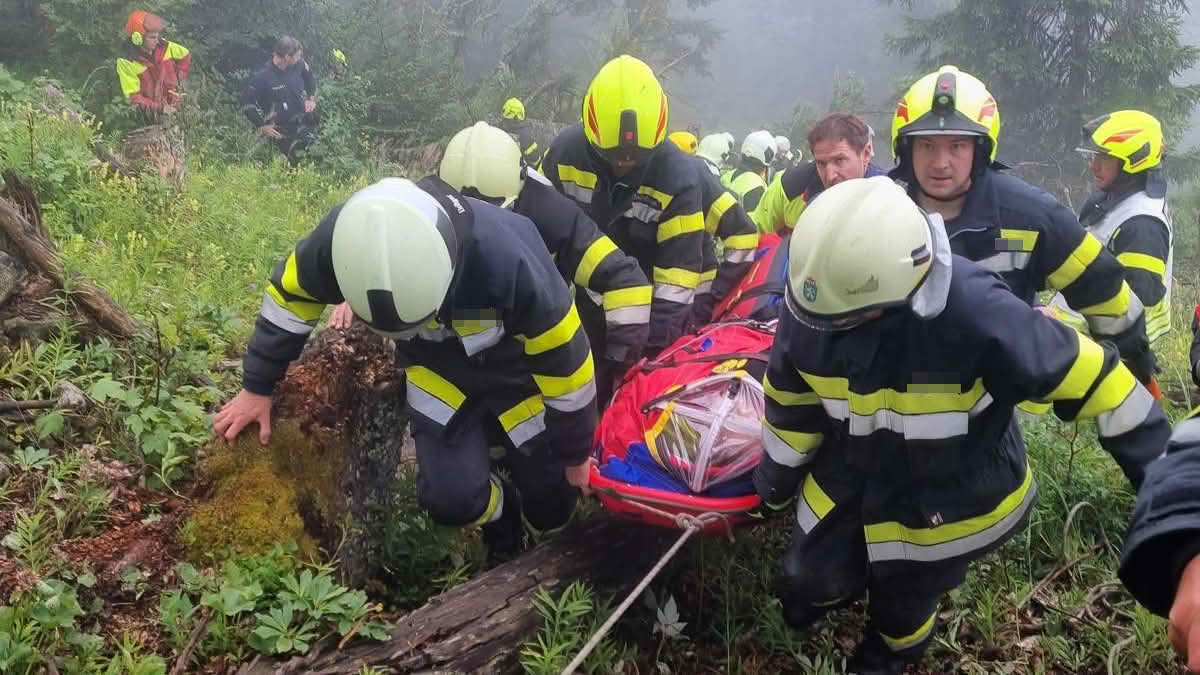 BFV Liezen: Forstunfall in schwer zugänglichen Gelände BFV Liezen: Forstunfall in schwer zugänglichen Gelände