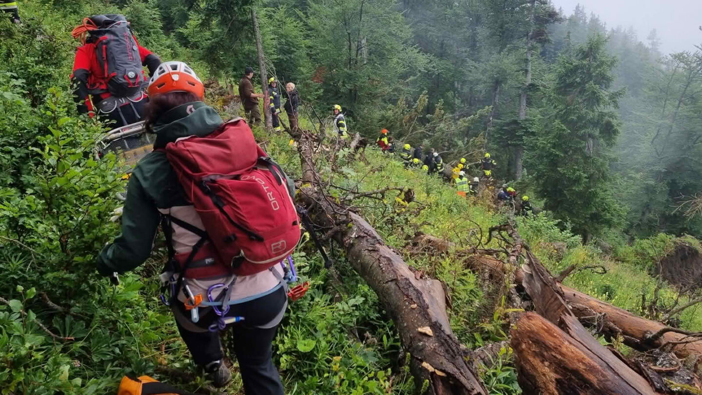 Forstunfall in schwer zugänglichen Gelände