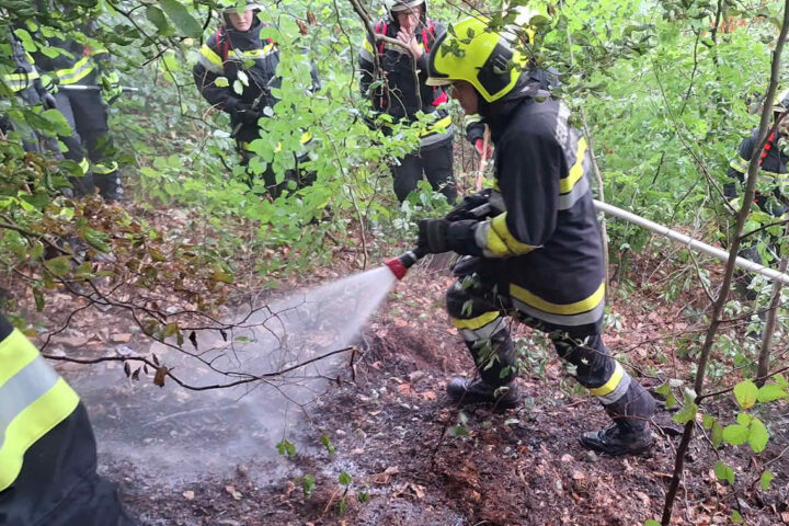 BFKDO Baden: Blitzschlag löst Waldbrand am Guglzipf aus