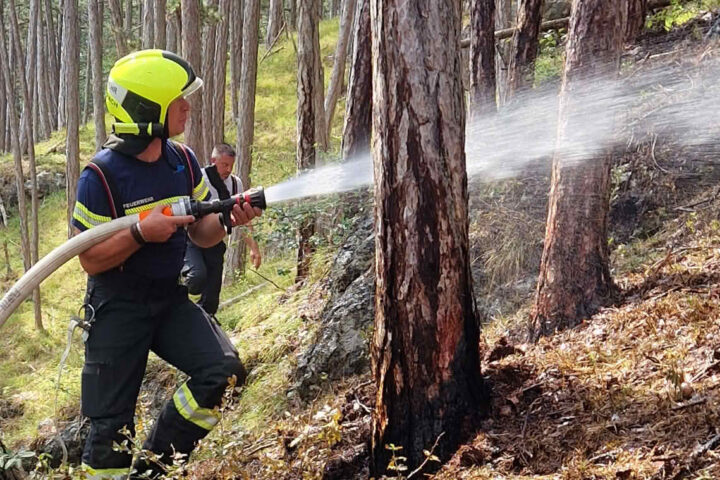 BFKDO Baden: Erneuter Waldbrand im Bezirk