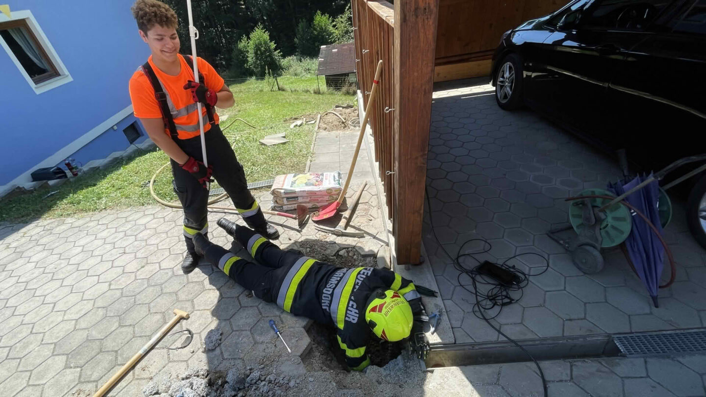 BFVDL: Schweißtreibender Einsatz mit Happy End für zwei Jungkatzen BFVDL: Schweißtreibender Einsatz mit Happy End für zwei Jungkatzen