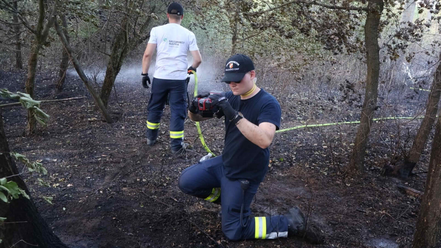 Vegetationsbrand im Raum Neusiedl an der Zaya