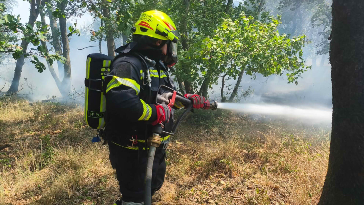 Vegetationsbrand im Raum Neusiedl an der Zaya
