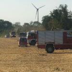 BFKDO Gänserndorf: B3 Vegetationsbrand im Raum Neusiedl an der Zaya