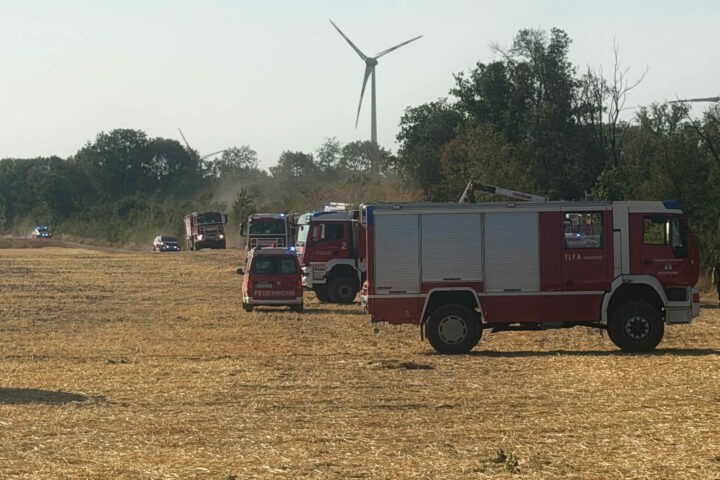 BFKDO Gänserndorf: B3 Vegetationsbrand im Raum Neusiedl an der Zaya