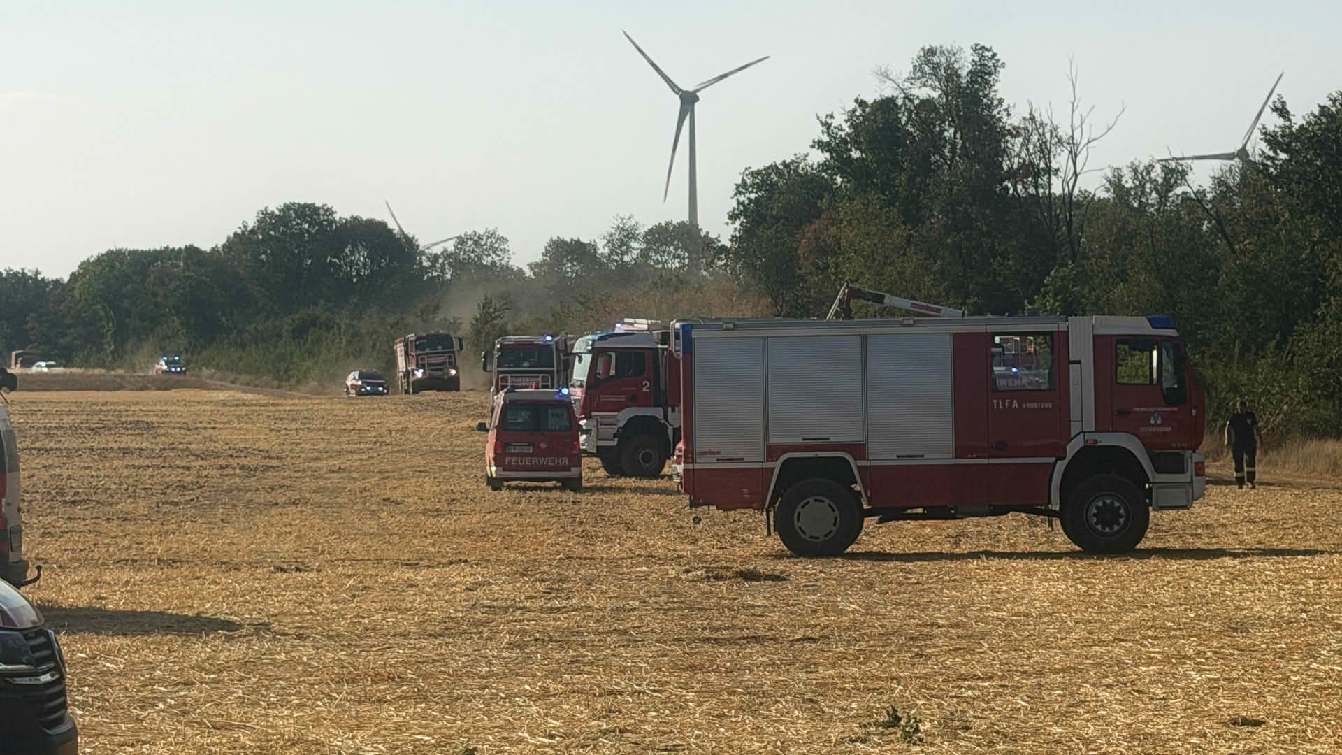 BFKDO GĂ€nserndorf: B3 Vegetationsbrand im Raum Neusiedl an der Zaya