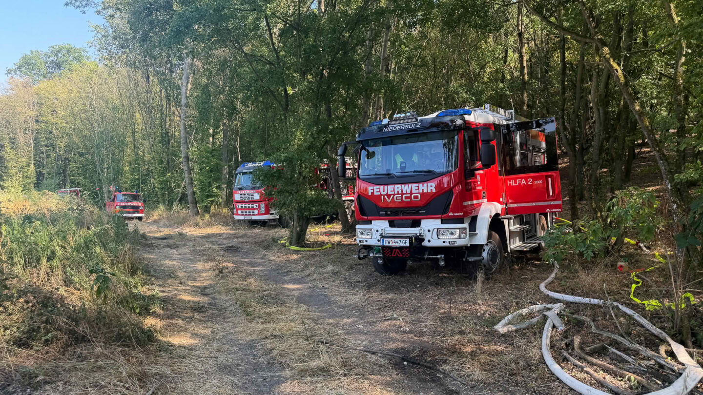 Vegetationsbrand im Raum Neusiedl an der Zaya