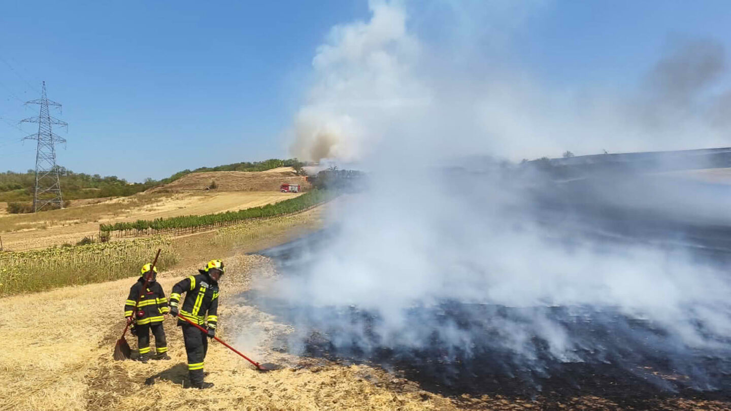 Vegetationsbrand im Raum Neusiedl an der Zaya