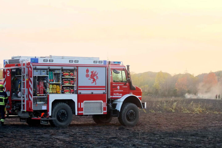 BFKDO Gänserndorf: Bundeslandübergreifender Vegetationsbrand