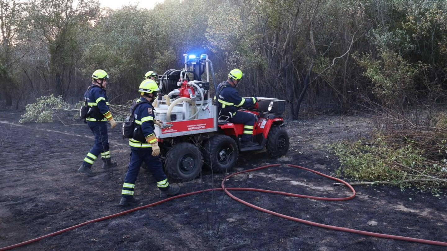 Vegetationsbrand Lobau