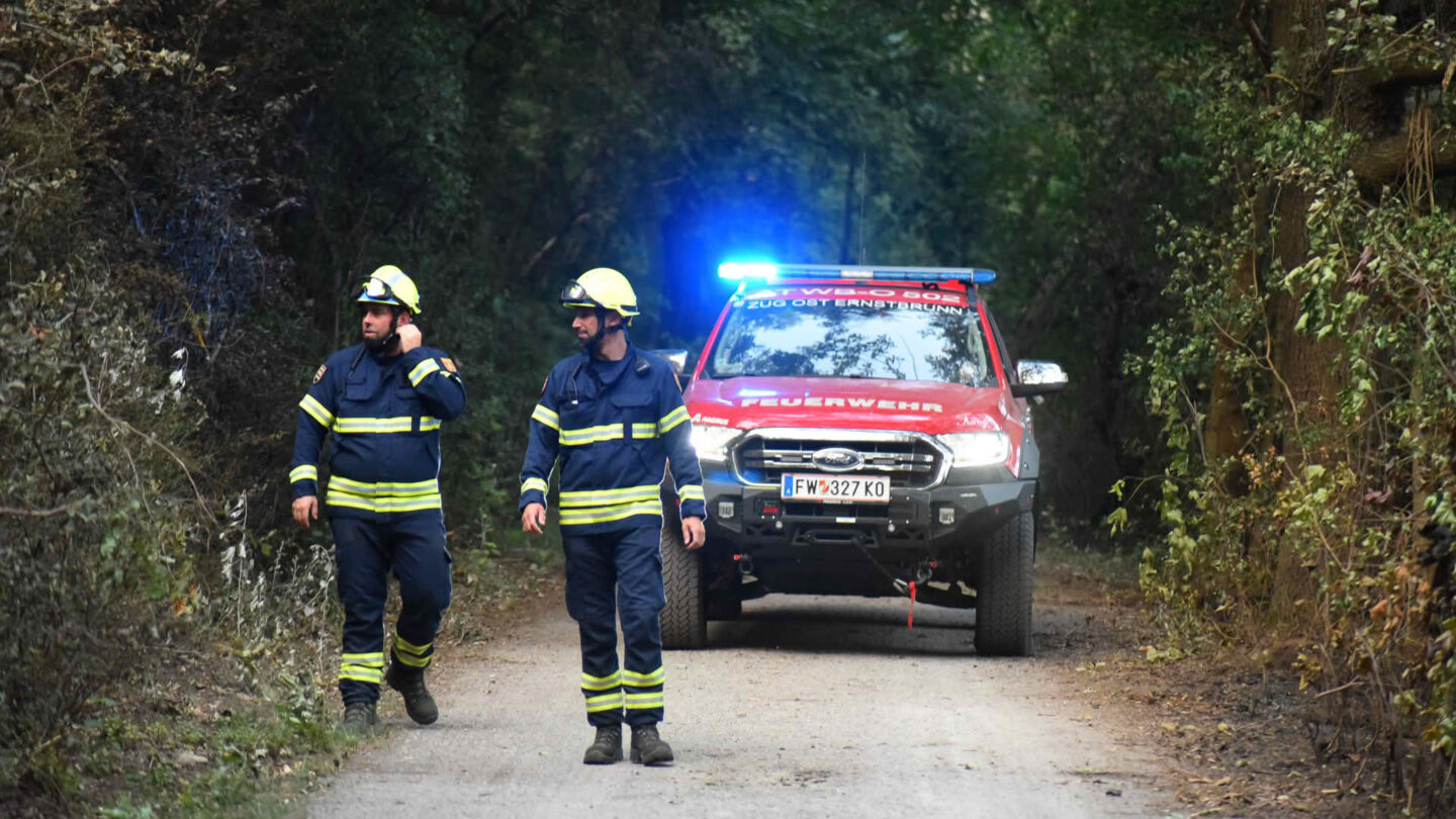 Vegetationsbrand Lobau