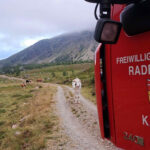 AFK Millstatt – Radenthein: Tierrettung im Bereich Koflachalm / Kaning