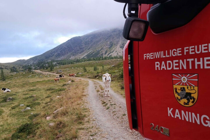 AFK Millstatt – Radenthein: Tierrettung im Bereich Koflachalm / Kaning AFK Millstatt – Radenthein: Tierrettung im Bereich Koflachalm / Kaning