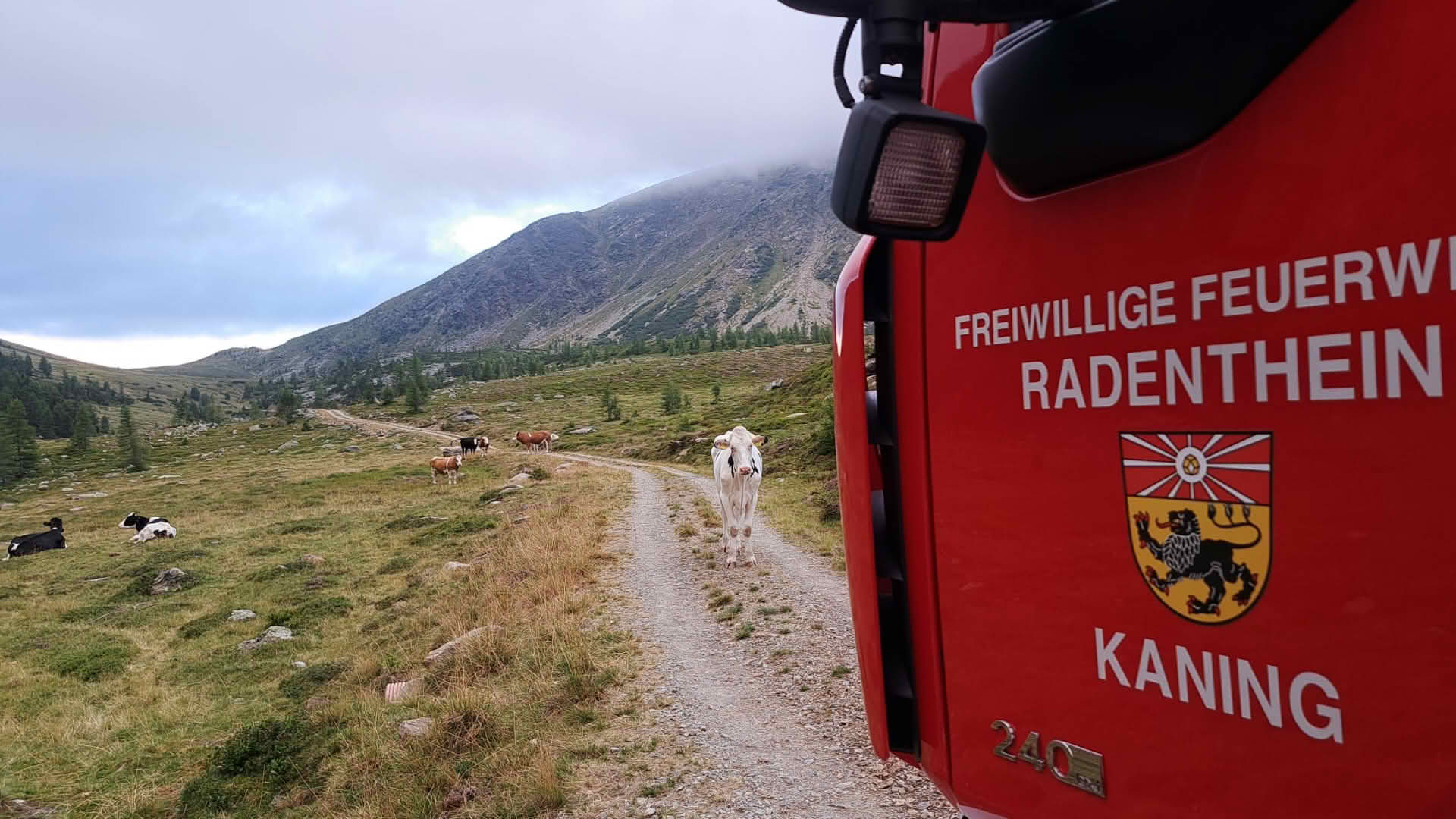 AFK Millstatt – Radenthein: Tierrettung im Bereich Koflachalm / Kaning