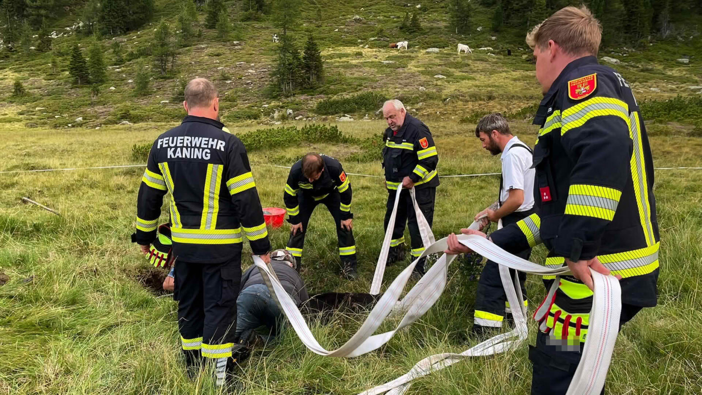 Tierrettung im Bereich Koflachalm
