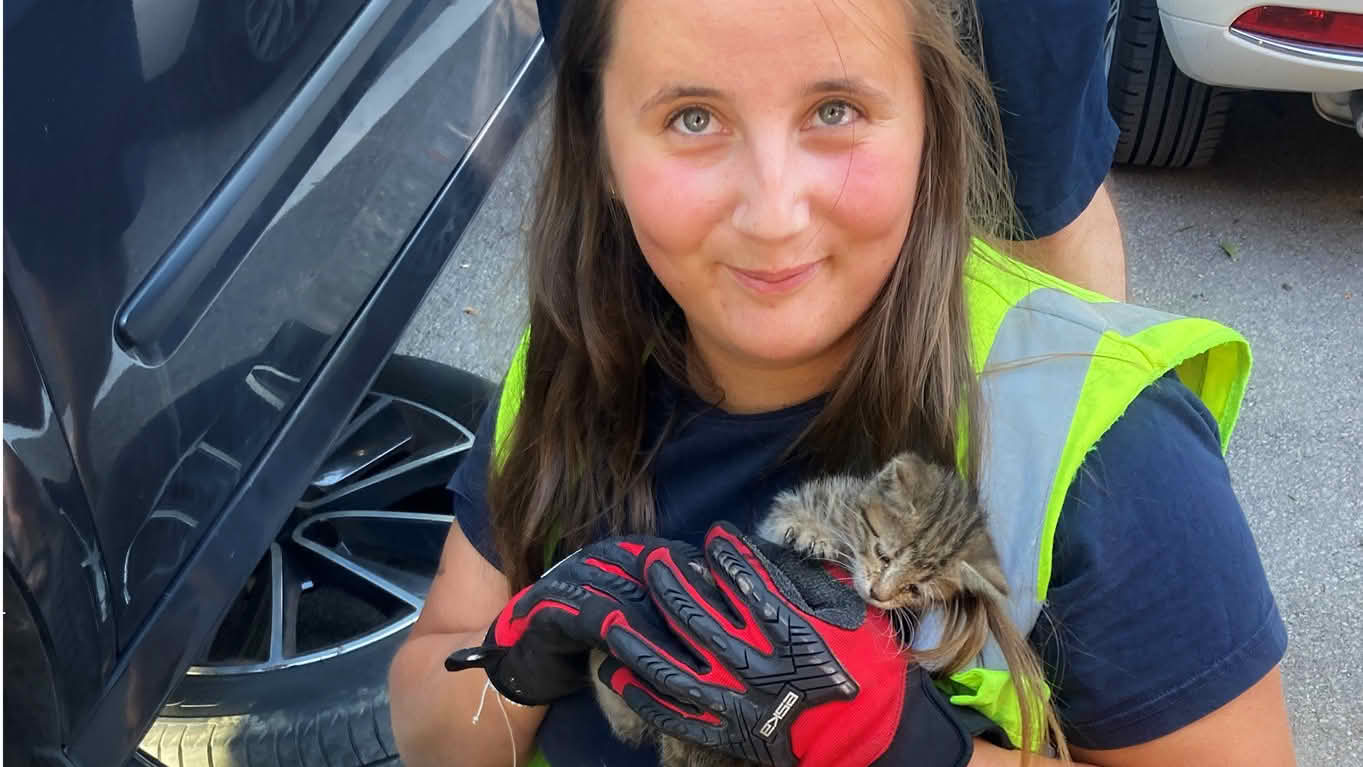 Tierischer Einsatz