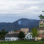 BFK Krems: Feuerwehren bekämpfen Waldbrand bei Dürnstein