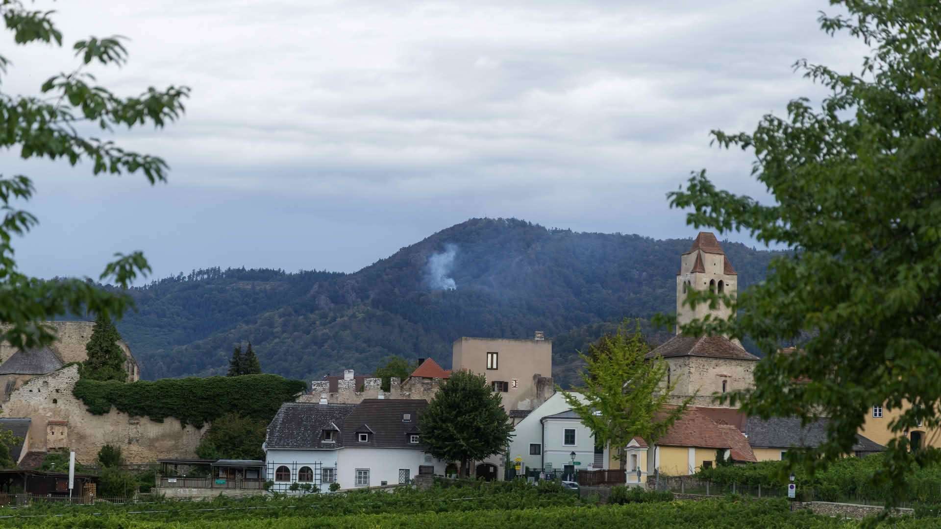 BFK Krems: Feuerwehren bekämpfen Waldbrand bei Dürnstein BFK Krems: Feuerwehren bekämpfen Waldbrand bei Dürnstein