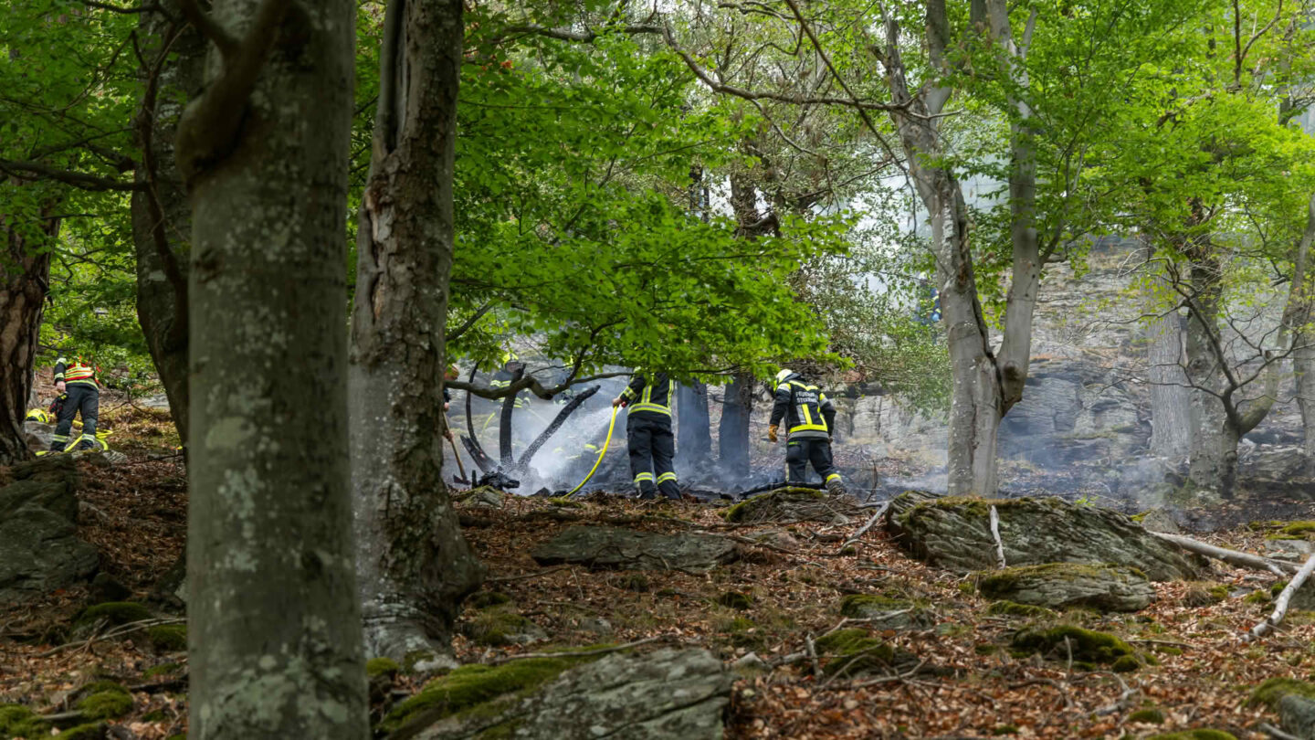 Feuerwehren bekämpfen Waldbrand bei Dürnstein