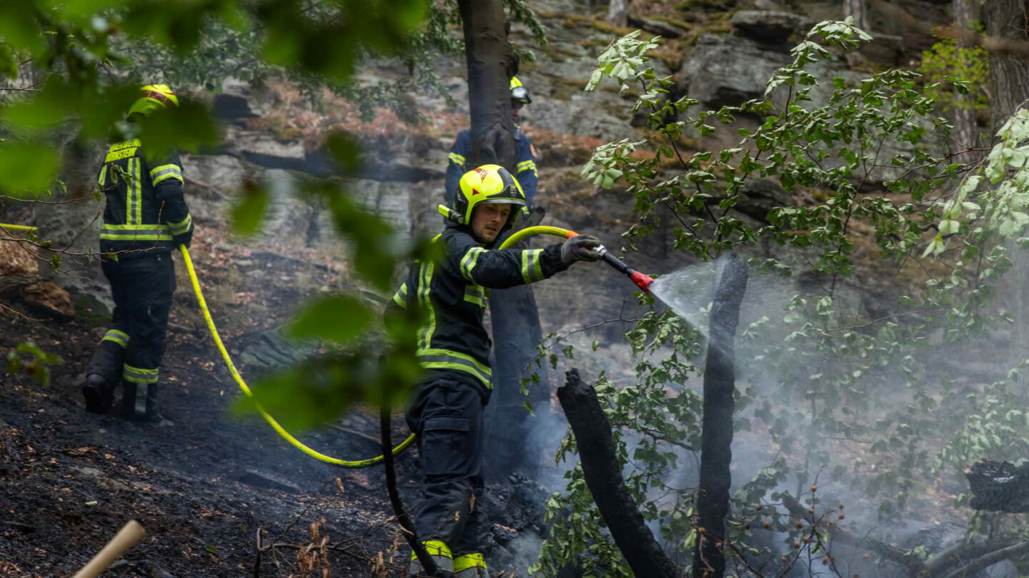 Feuerwehren bekämpfen Waldbrand bei Dürnstein