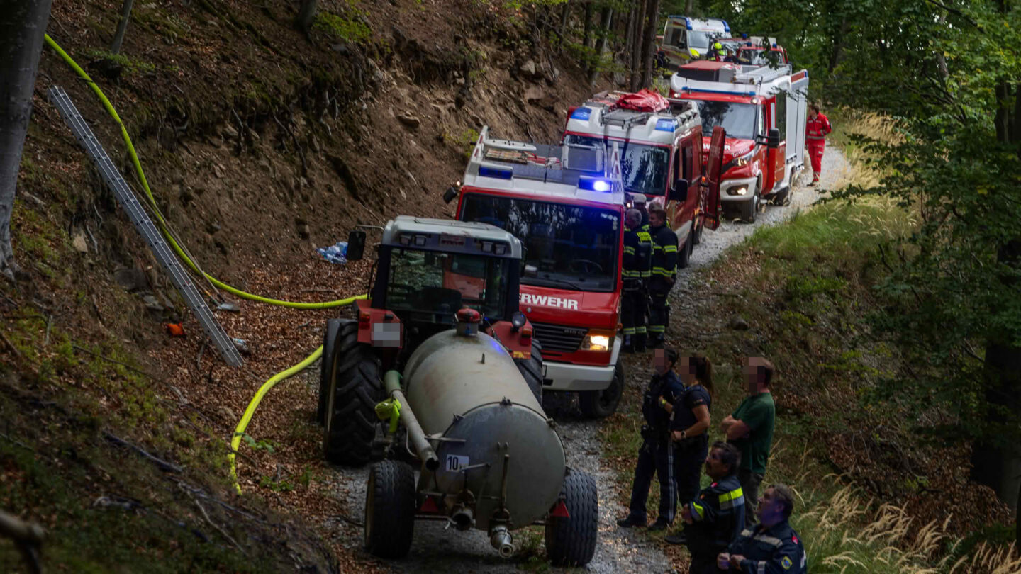 Feuerwehren bekämpfen Waldbrand bei Dürnstein
