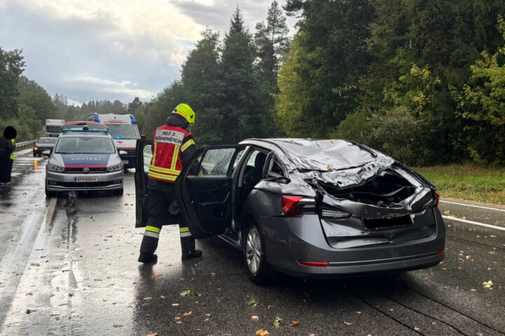 FF Hoheneich: Baum stürzt auf B41 und trifft vorbeifahrenden PKW