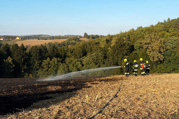 BFV Feldbach: Feldbrand in Steinberg – rasches Eingreifen verhindert Ausbreitung